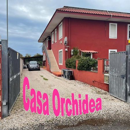 Casa Orchidea Leilighet Fiumicino Eksteriør bilde