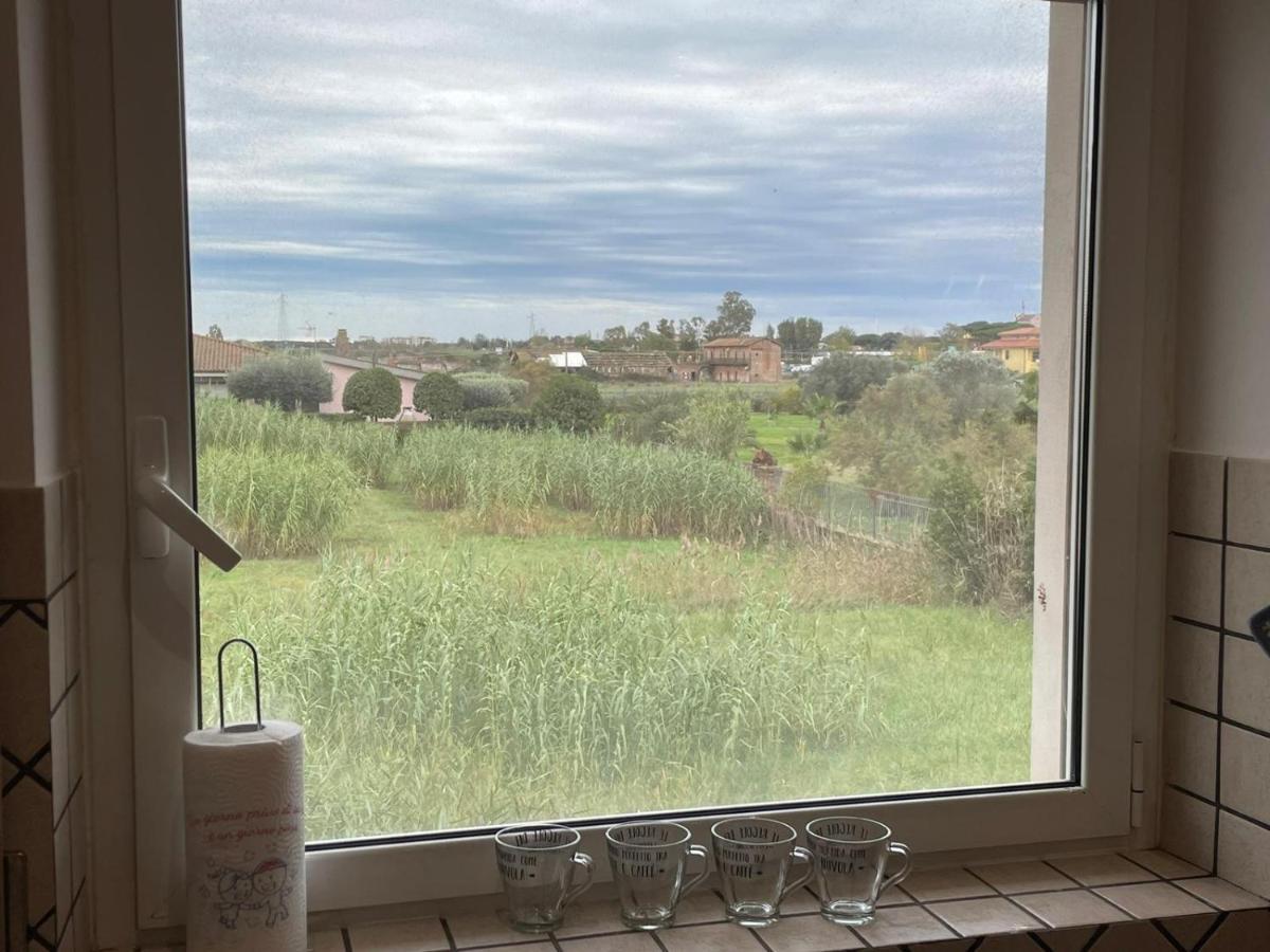 Casa Orchidea Leilighet Fiumicino Eksteriør bilde
